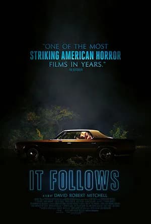 It Follows (2014) Dual Audio {Hindi-English} 480p | 720p | 1080p