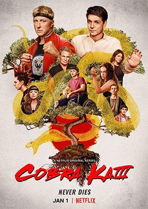 Cobra Kai – Netflix Original (2021) Season 3 Dual Audio {Hindi-English} 480p [100MB] | 720p [250MB] WEB-DL