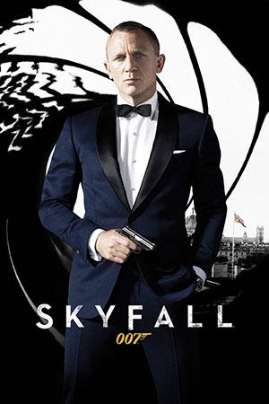 James Bond Part 24: Skyfall (2012) Dual Audio {Hindi-English} 480p [450MB] | 720p [1.2GB] | 1080p [2.6GB] | 2160p [13GB]