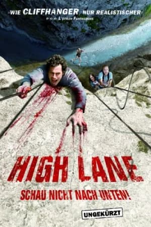 High Lane (2009) BluRay Dual Audio [Hindi ORG. + French] 480p [350MB] | 720p [750MB] | 1080p [1.7GB]