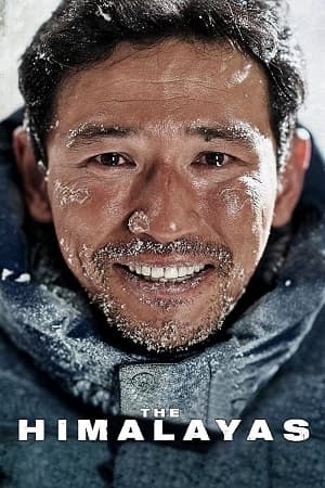 The Himalayas (2015) BluRay Dual Audio {Hindi-Korean} 480p [450MB] | 720p [1.1GB] | 1080p [2.5GB]